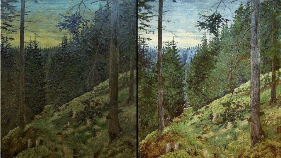 Altes Bild mit Wald gereinigt